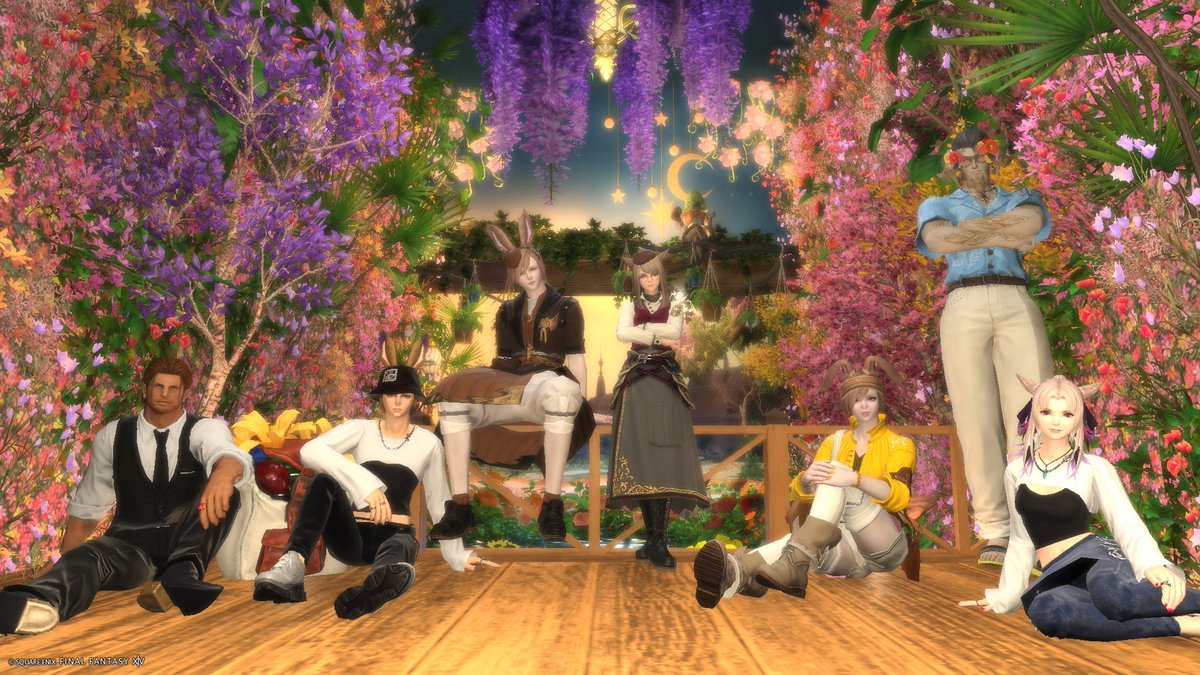 🐰Miya tweet media