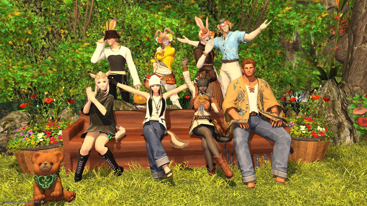 🐰Miya tweet media