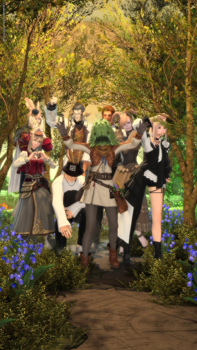 🐰Miya tweet media