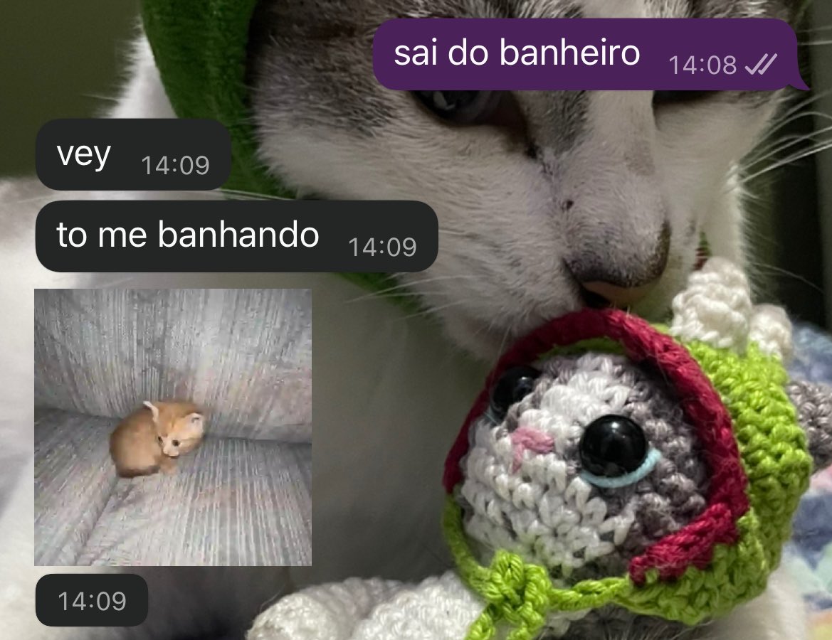 morando em rep
