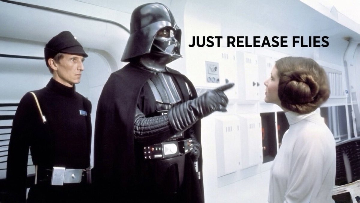 mad eyes tweet media