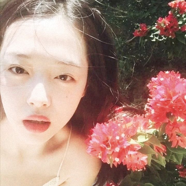 f(acervo) tweet media