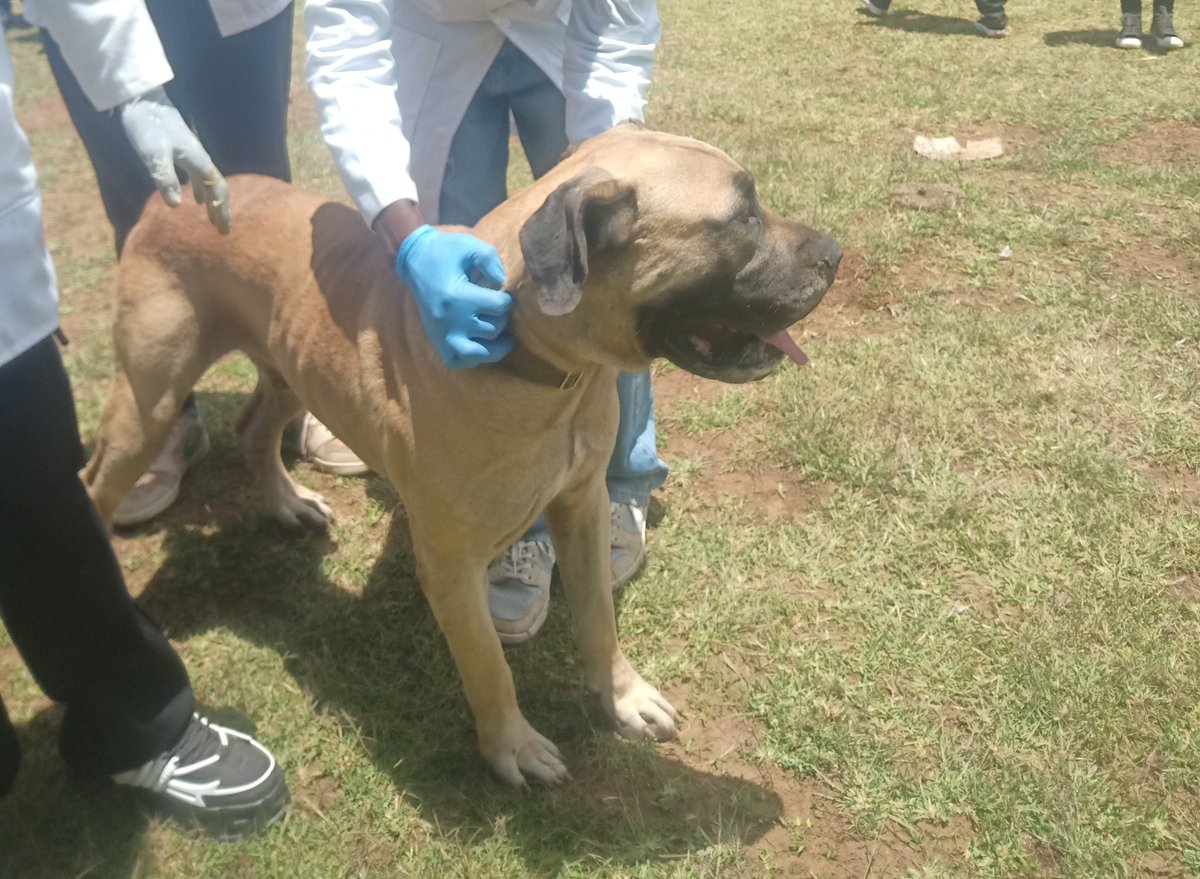 Mjukuu ya Lebo tweet media