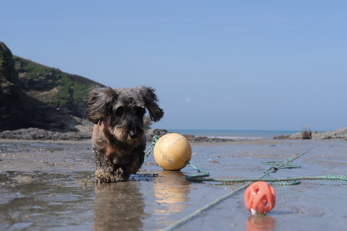 Wally Bobbers 💜 tweet media