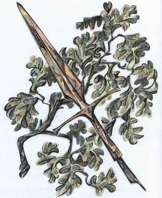 wacist wigga tweet media