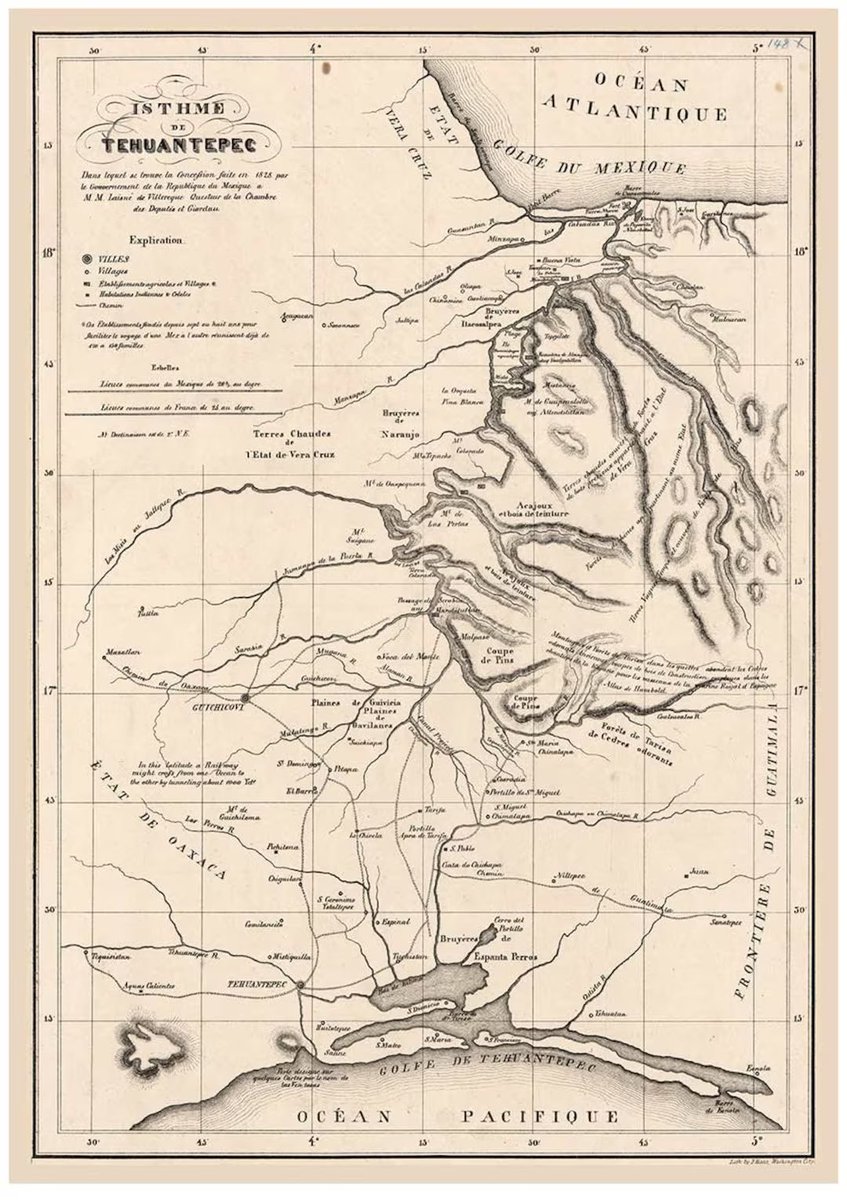 Patricia Galeana tweet media