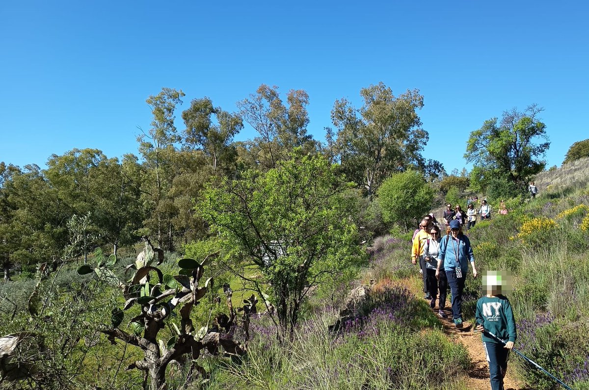 Turismo de Alange tweet media