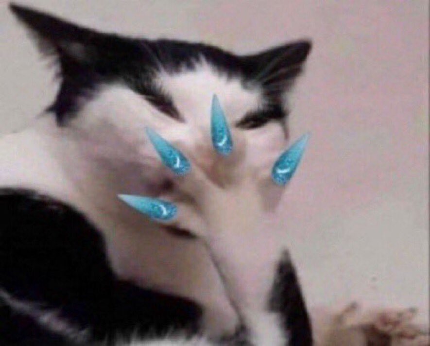 insane genius tweet media