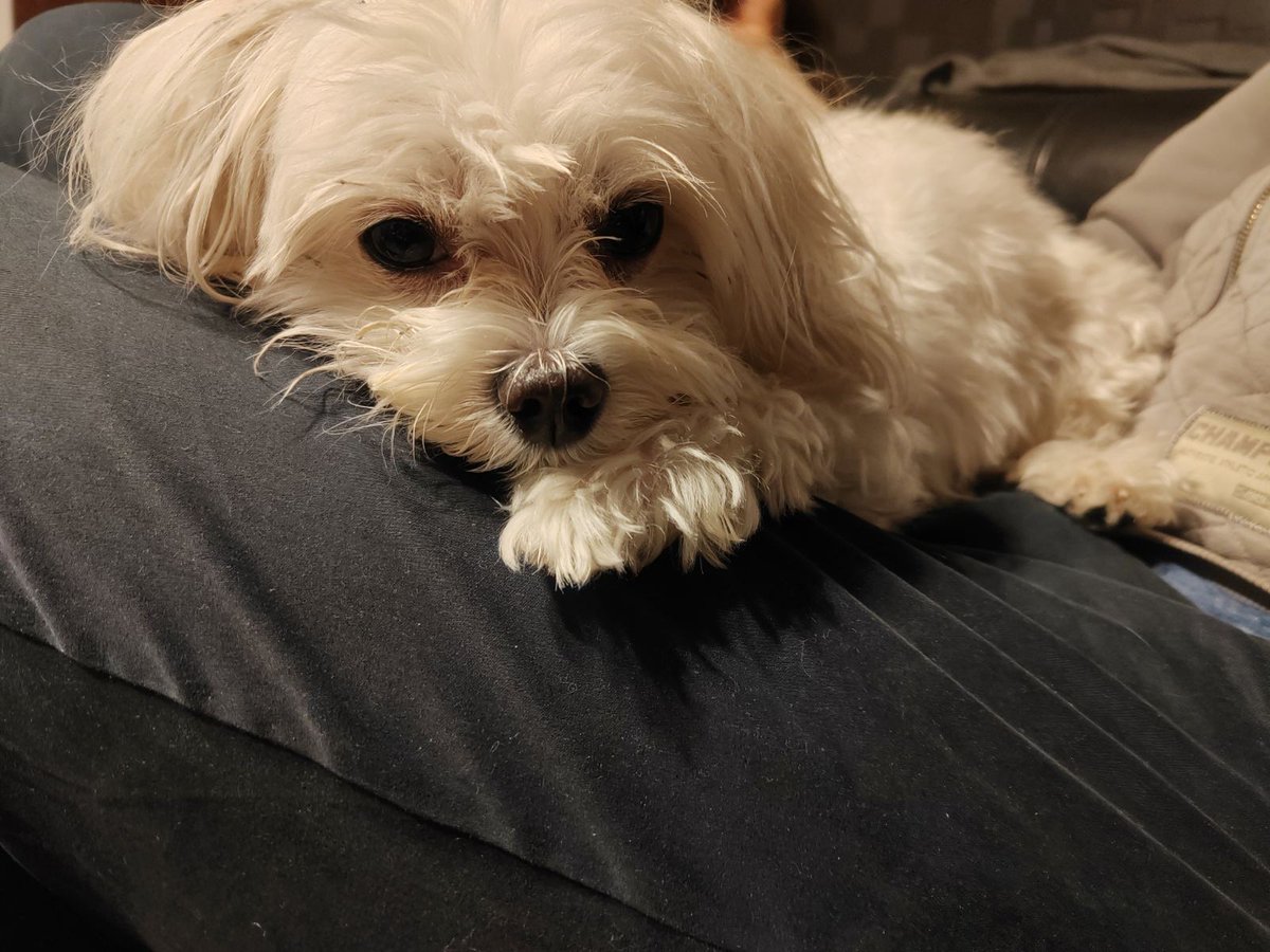 Tamo neki lik... tweet media