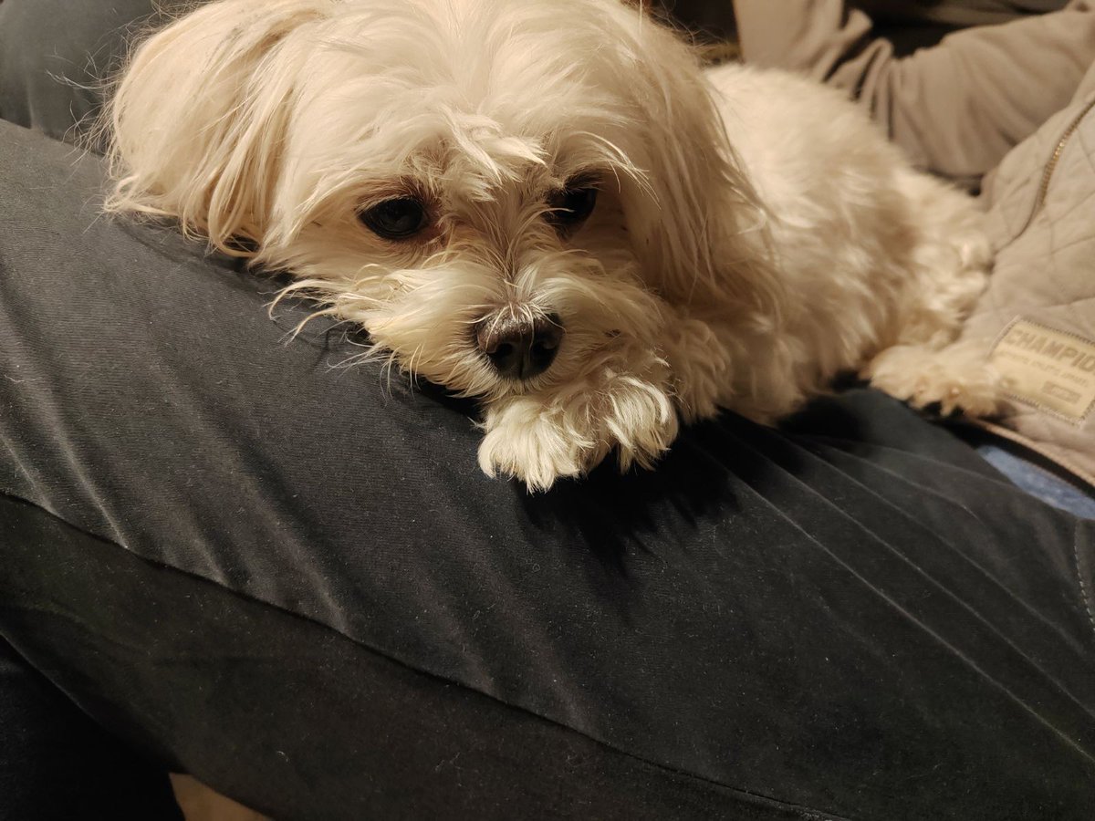 Tamo neki lik... tweet media