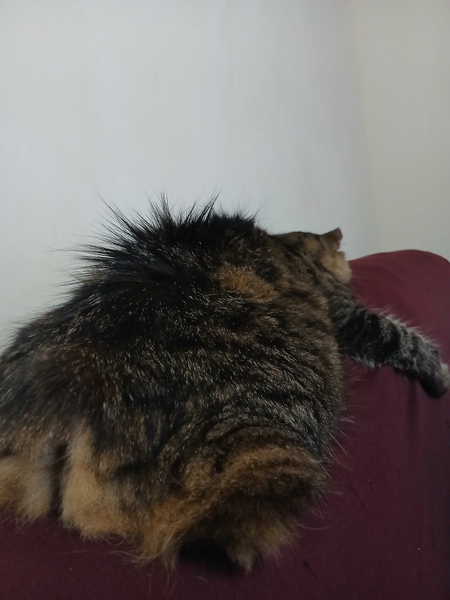 Pippin Galadriel Moonchild tweet media