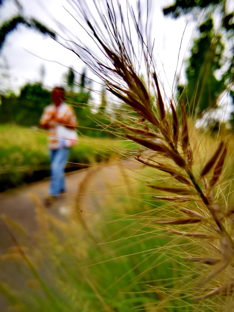 Claire galls tweet media