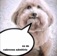 DEMEL501🌿🇲🇽 tweet media