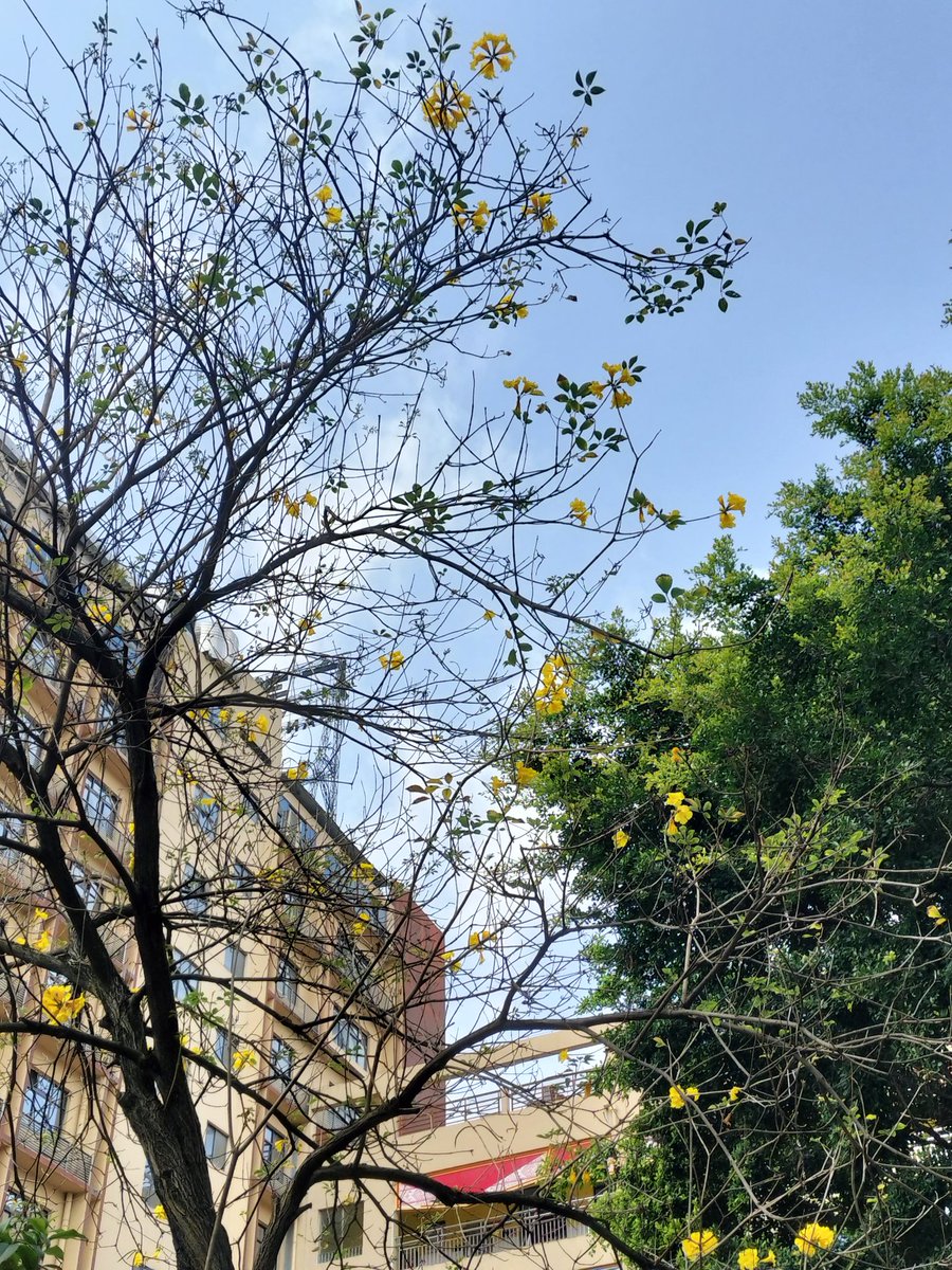 偷吃大奈被奈砸晕的那个雨夜 tweet media