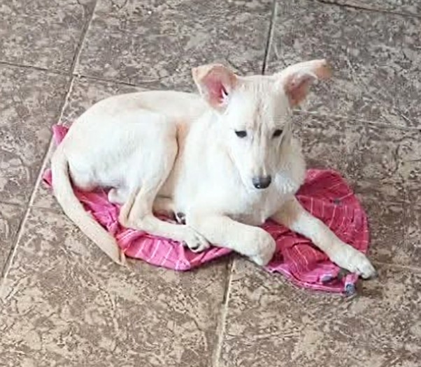 hospedajeanimalbar tweet media