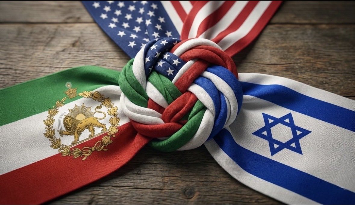 Masoud Emadi 👑 tweet media