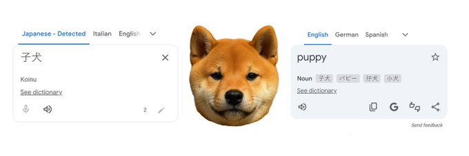 Terrence Johnson the Third tweet media