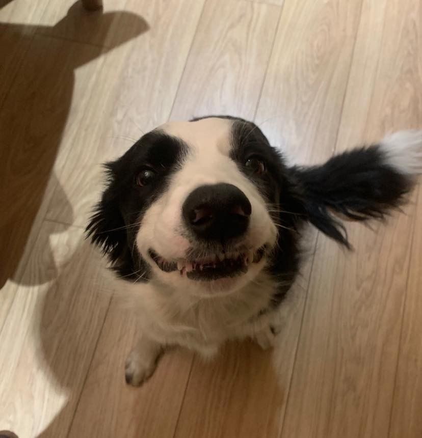 ⋆˚࿔ Vio𝜗𝜚˚⋆ tweet media