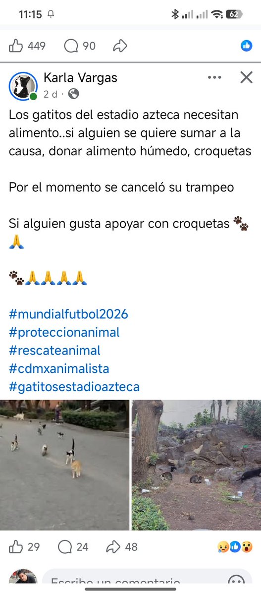 Adopta Esteriliza y Apadrina tweet media