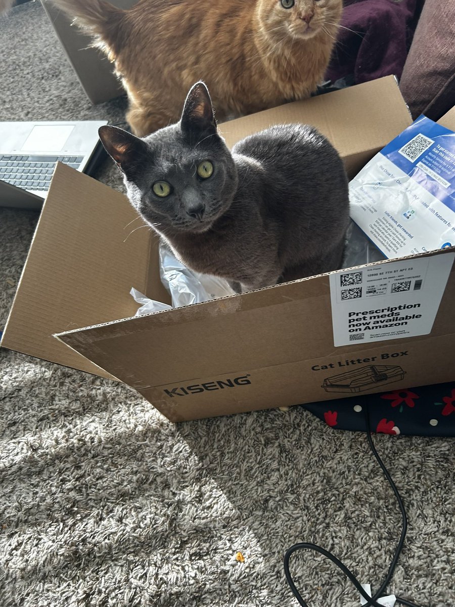 my_best_shelfie_life_ tweet media