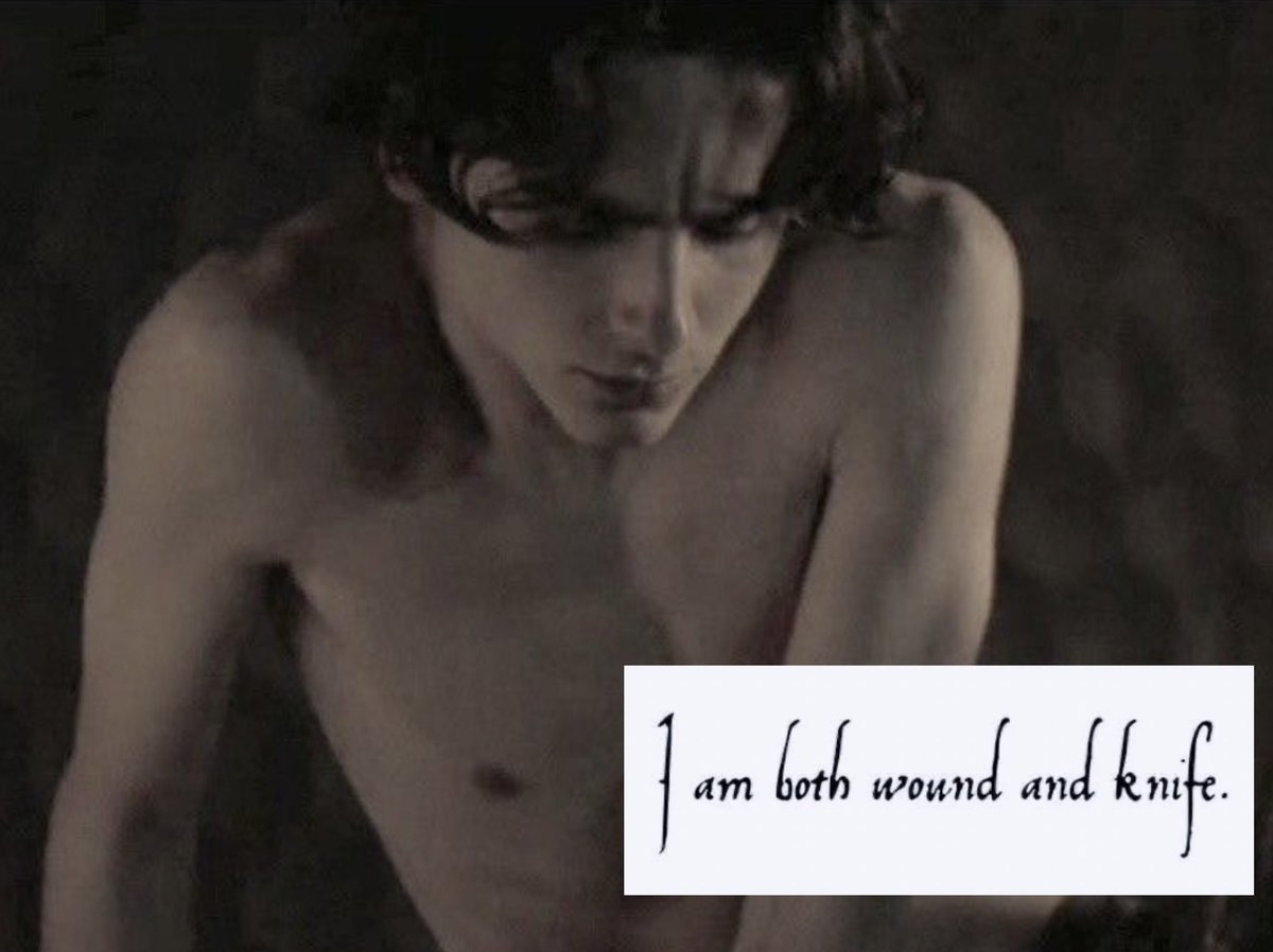 cupcake atreides 🧁 tweet media