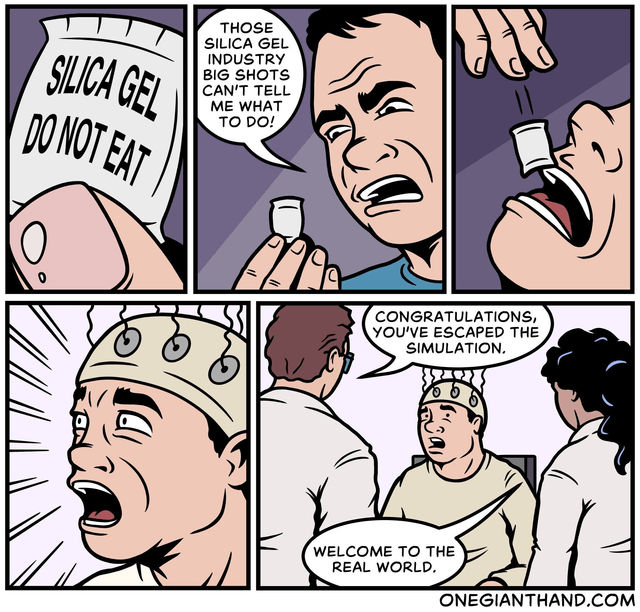 A Bort Enjoyer tweet media