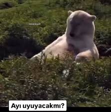 spordan geldikten sonra 1 saat uzanıp reels kaydırmak