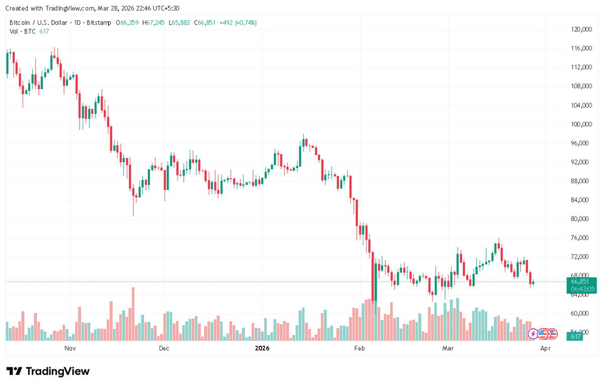 Crypto Invest Now tweet media