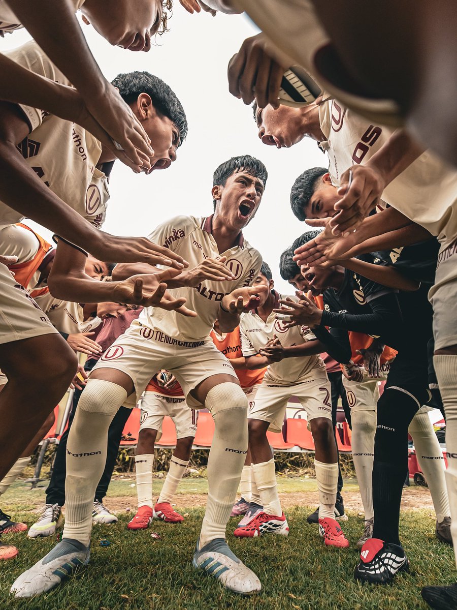 Divisiones Menores - Universitario tweet media