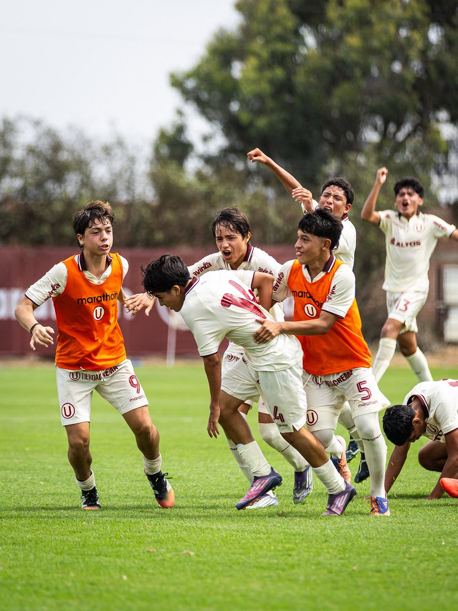 Divisiones Menores - Universitario tweet media
