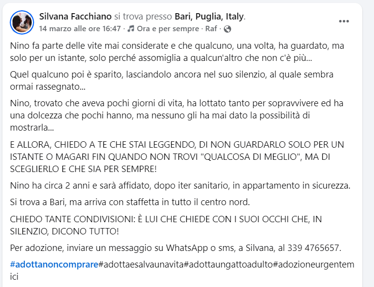 Qua la Zampa tweet media