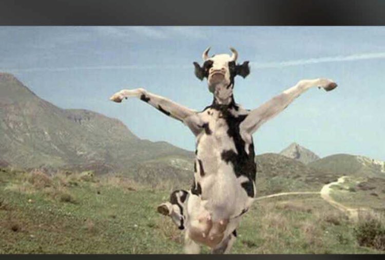 Mimi Hearts💞 tweet media