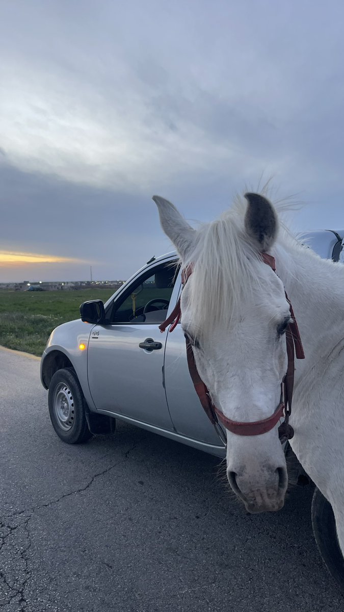 الــزميلي tweet media