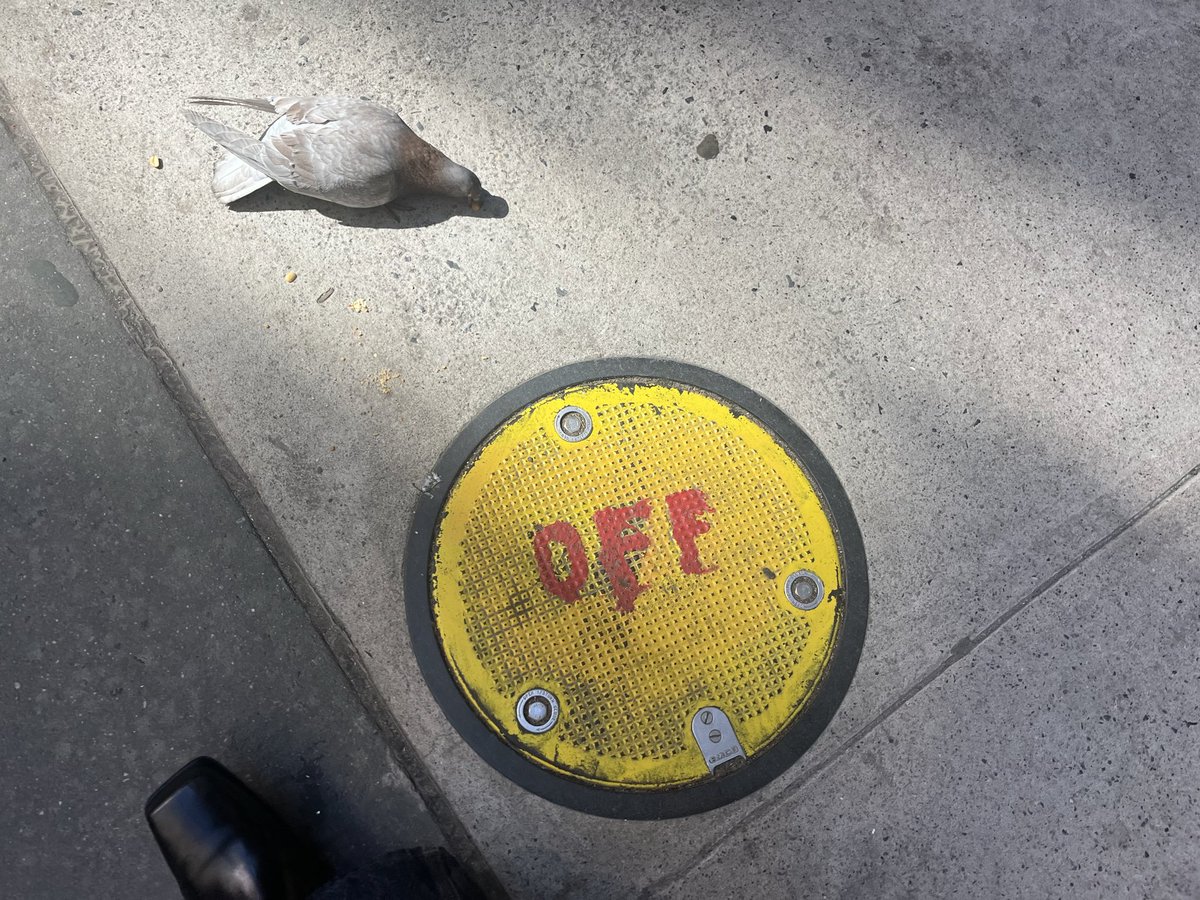 Lee Foxcliff tweet media