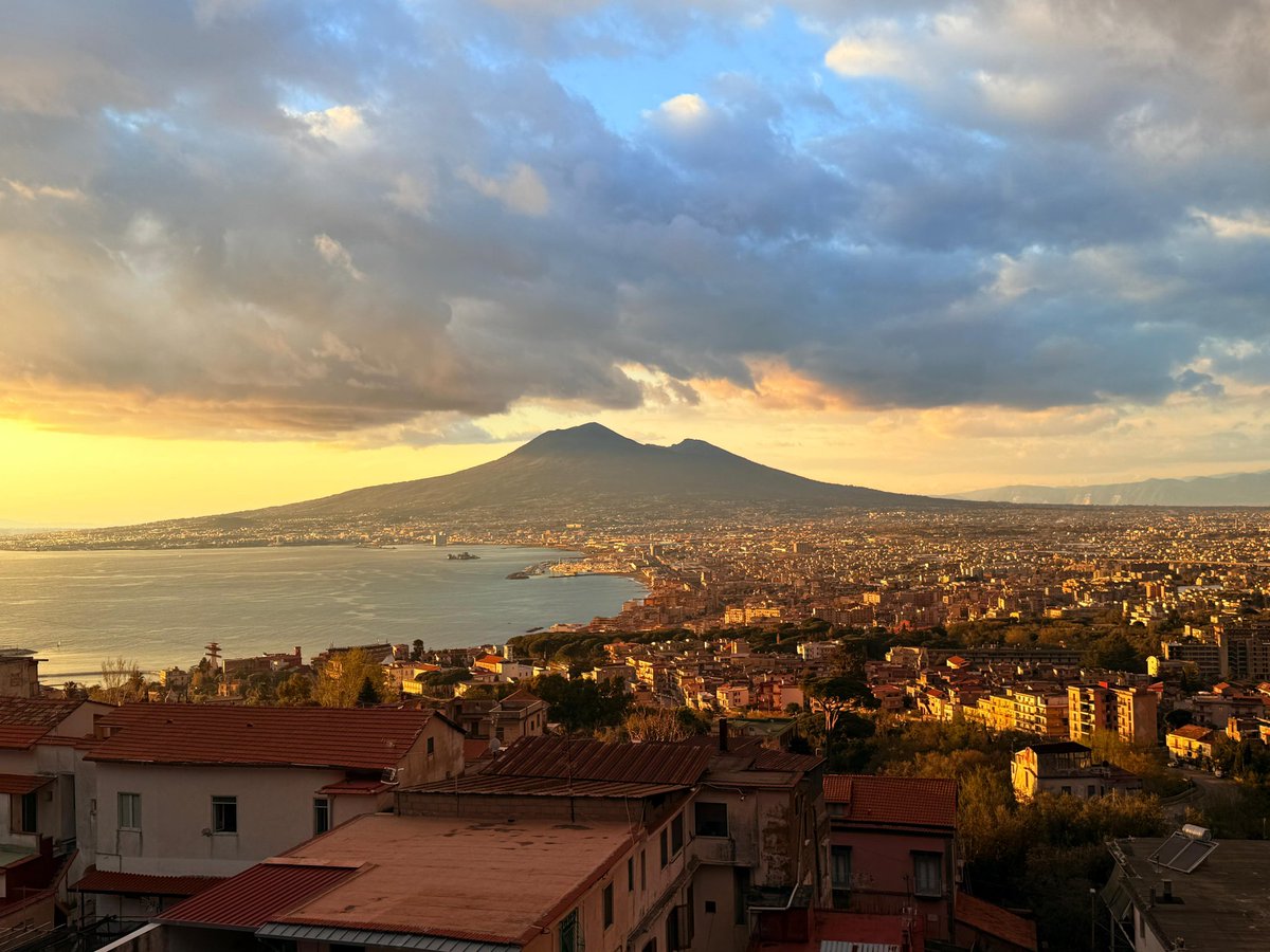 Scottsessuale tweet media