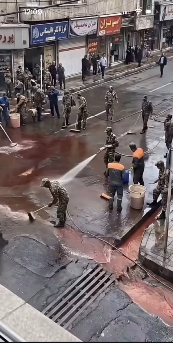 Alex Alex tweet media