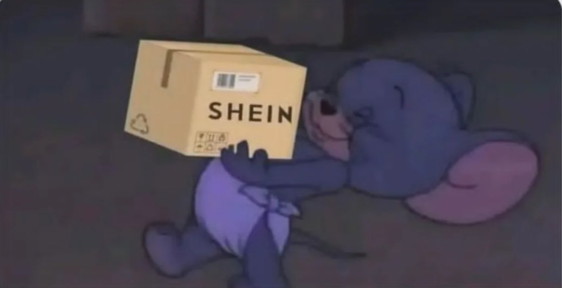 ‏قشطهَ tweet media