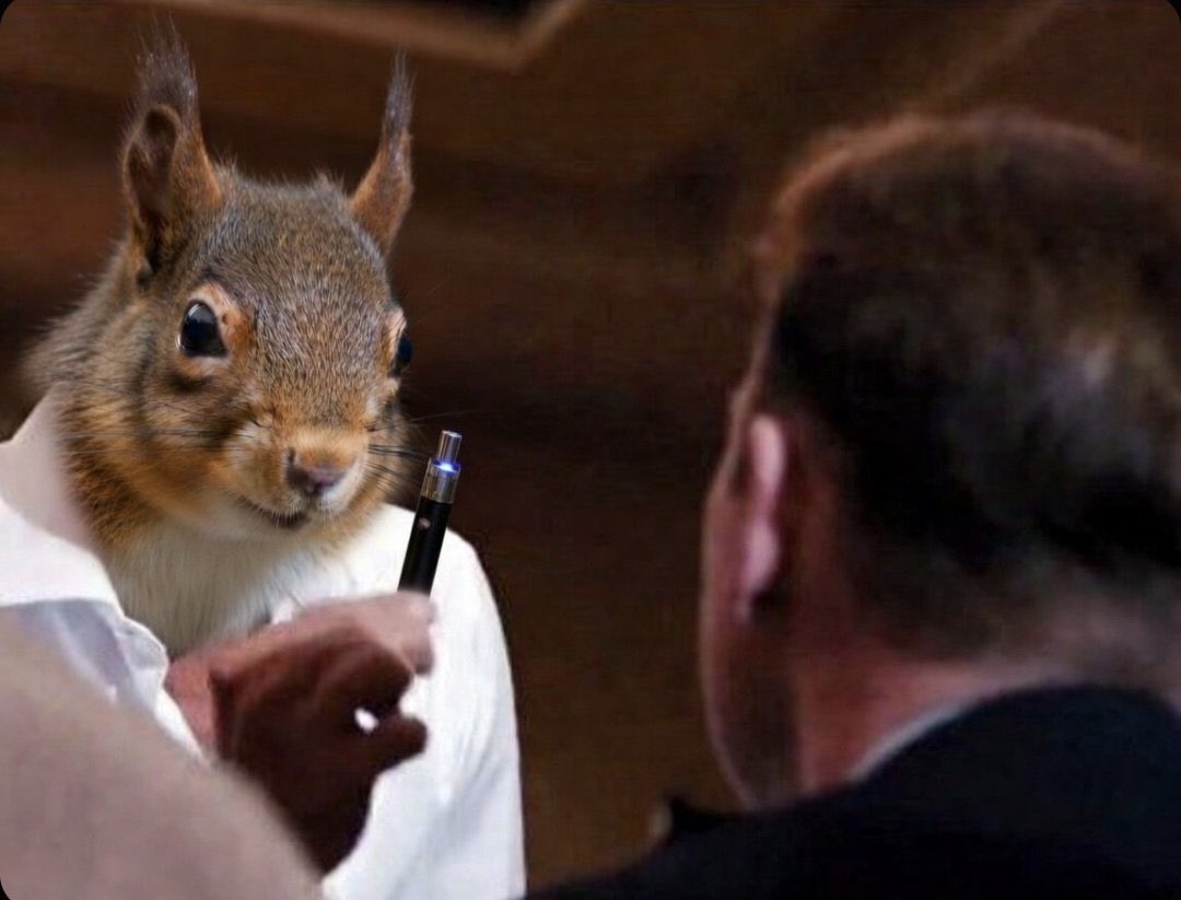 Crypt_Witch 🐈⬛ tweet media