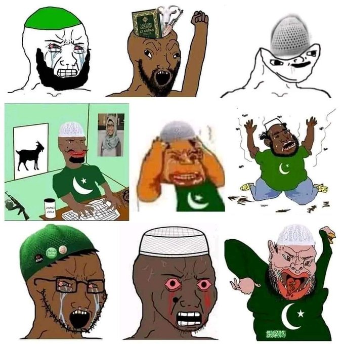 owls3021 tweet media