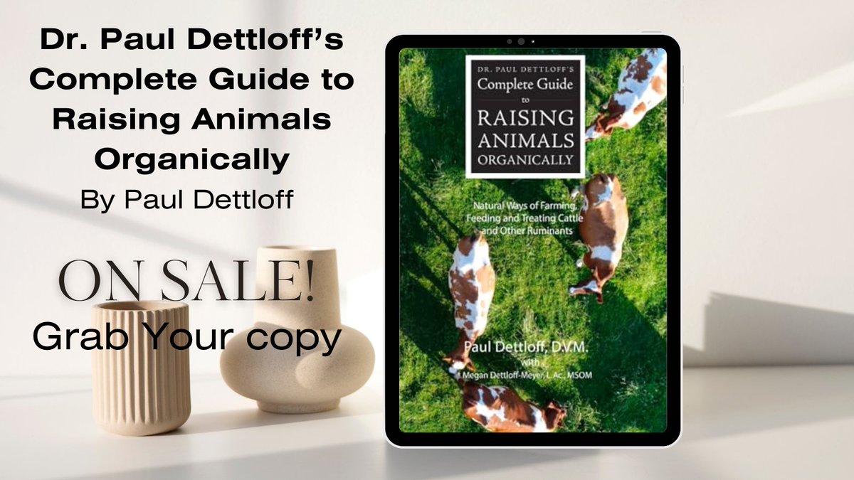 Whizbuzz Books tweet media