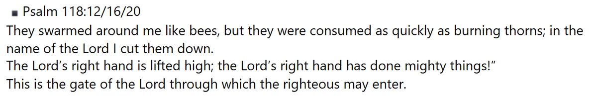 Paridae Vision tweet media