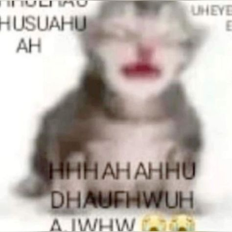 i drink soup tweet media