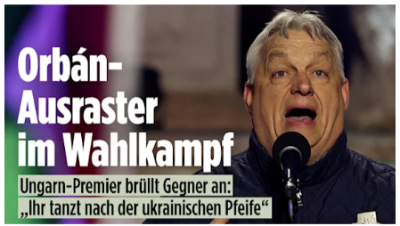 Peter Borbe tweet media