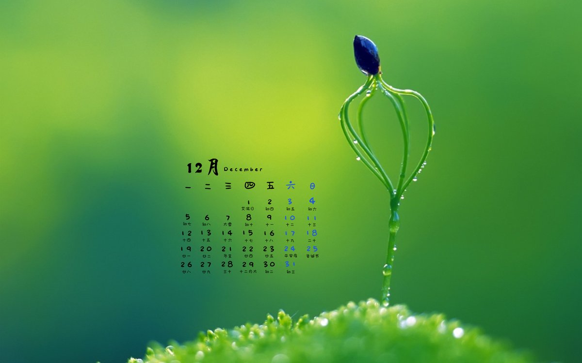 joseilton tweet media