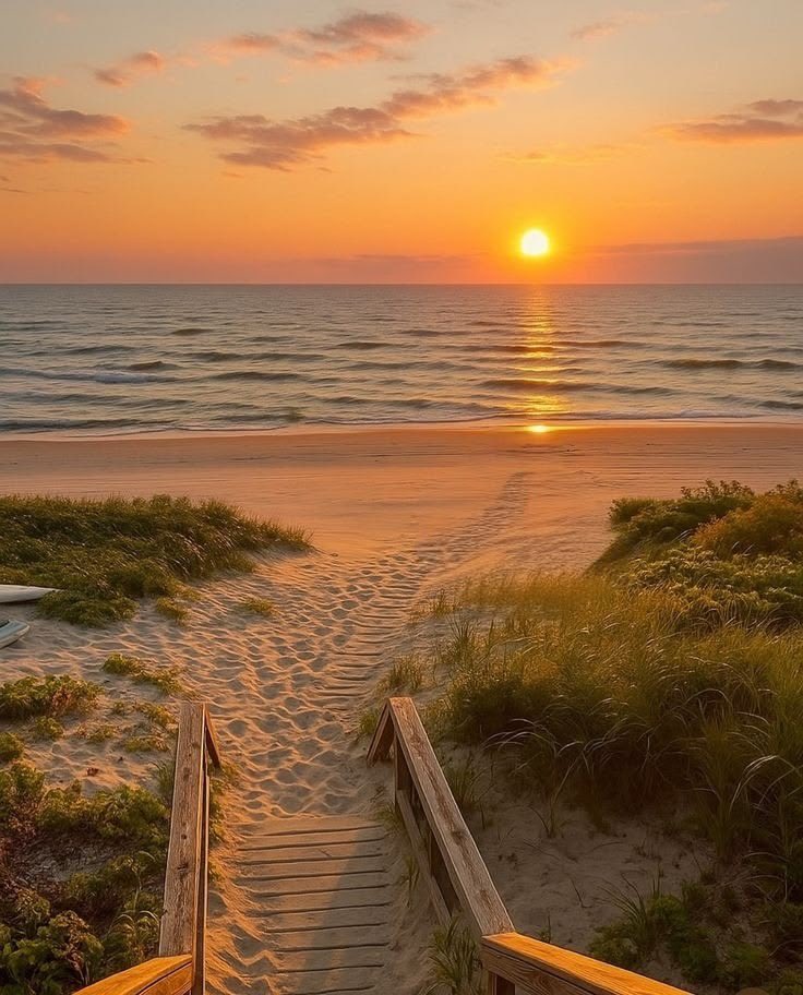 Nature & Human tweet media