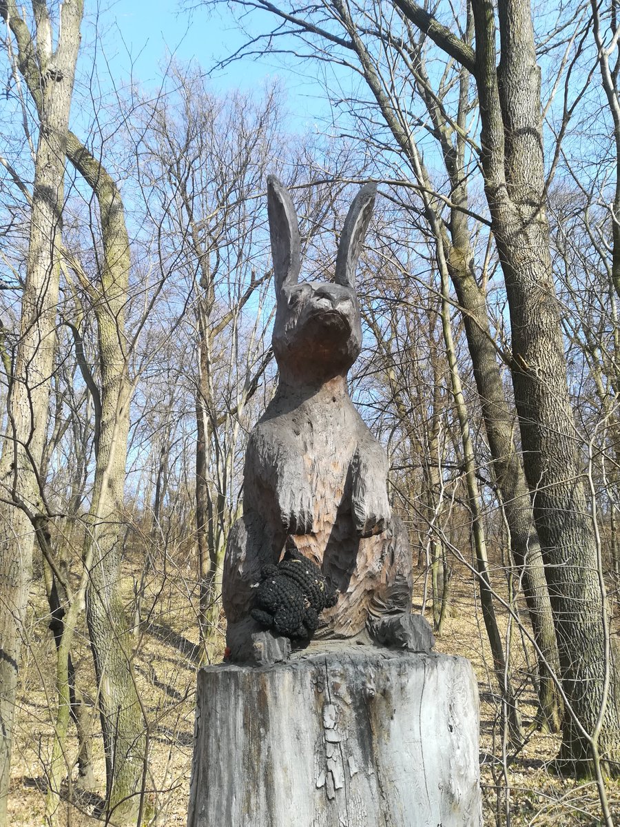 RawTiger tweet media