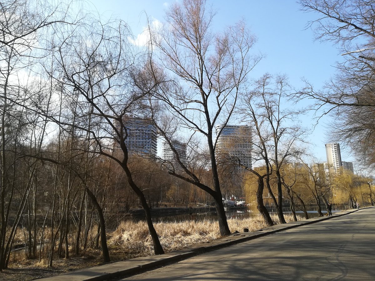 RawTiger tweet media