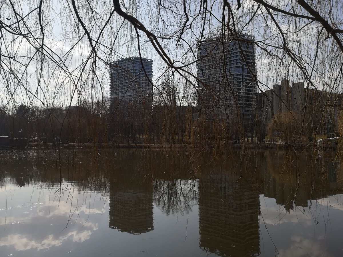 RawTiger tweet media