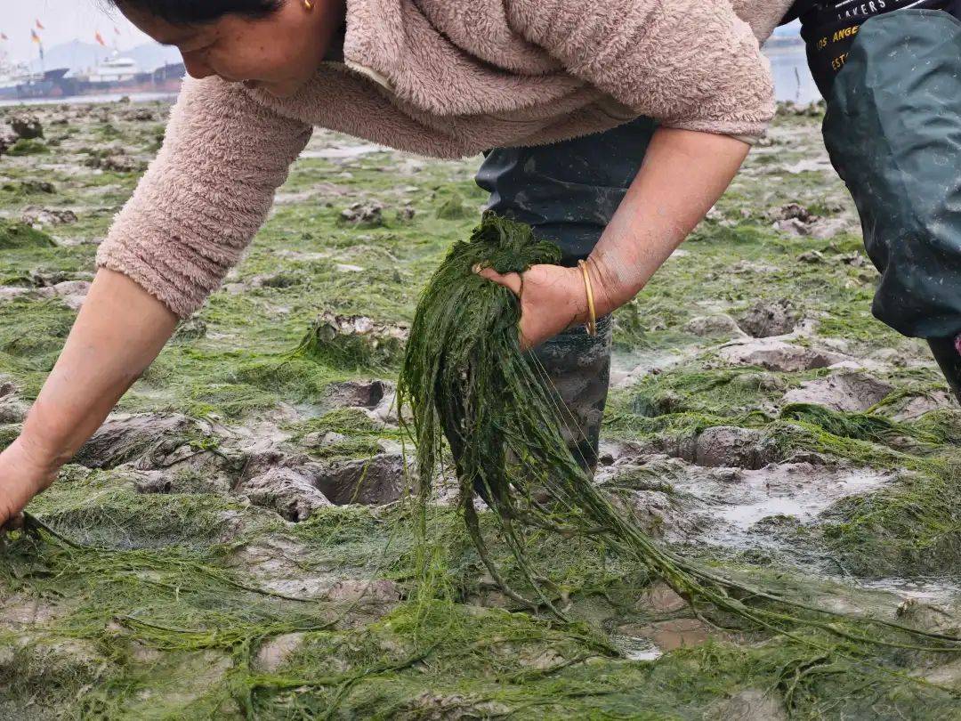 bella soriano tweet media