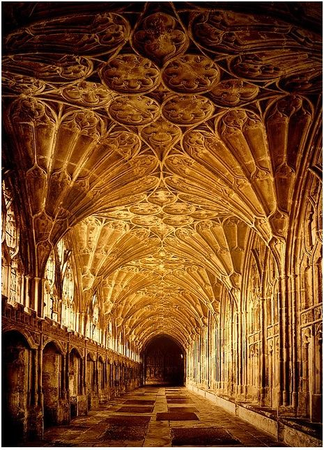 LeoDaVinciWave tweet media